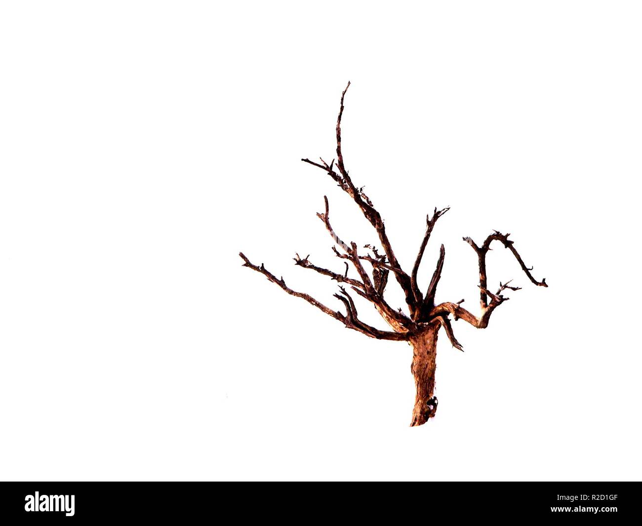 death in the snow Stock Photo - Alamy