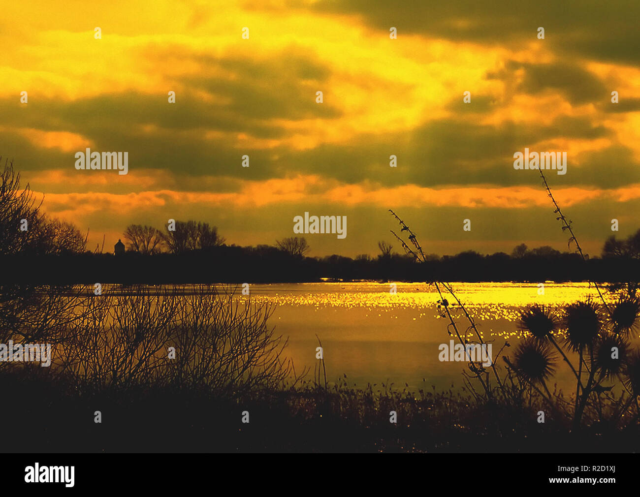 Flood flooded lake golden yellow hi-res stock photography and images ...