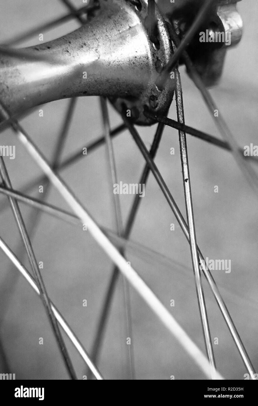 bicycle 5 Stock Photo