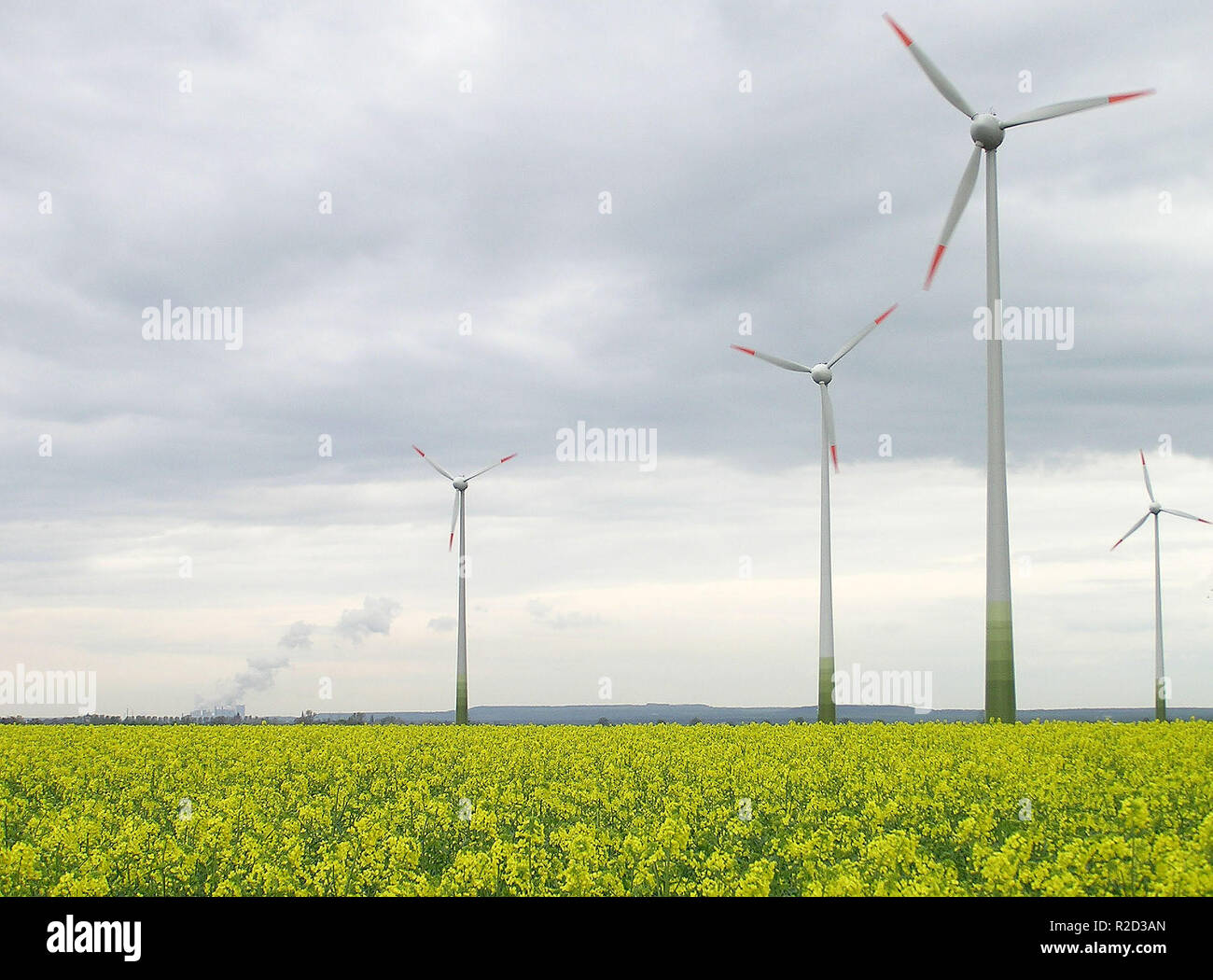 4xenergie,windkraftr canola wind industry Stock Photo - Alamy