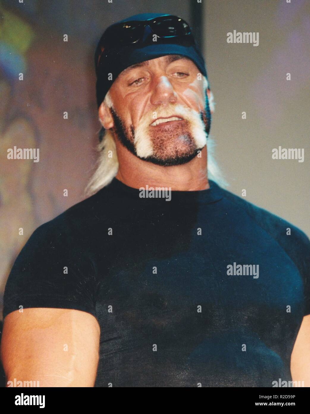 New York City, USA. 16th Nov, 2018. Hulk Hogan Undated Photo By John ...