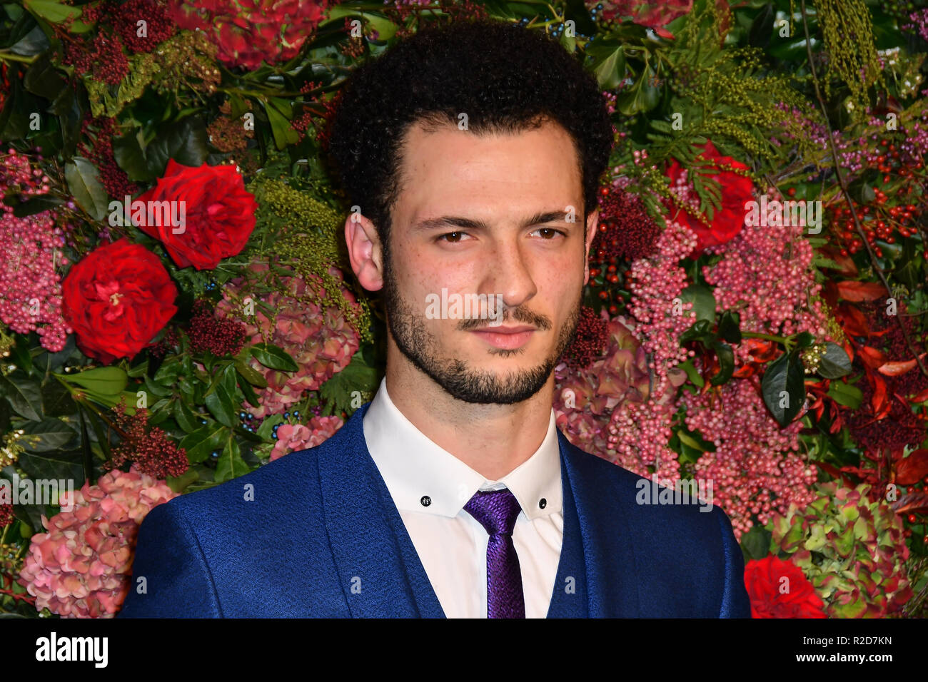London, UK. 18th Nov, 2018. Jamael Westman attends The 64th Evening Standard Theatre Awards at Theatre Royal, on 18 November 2018, London, UK. Credit: Picture Capital/Alamy Live News Stock Photo