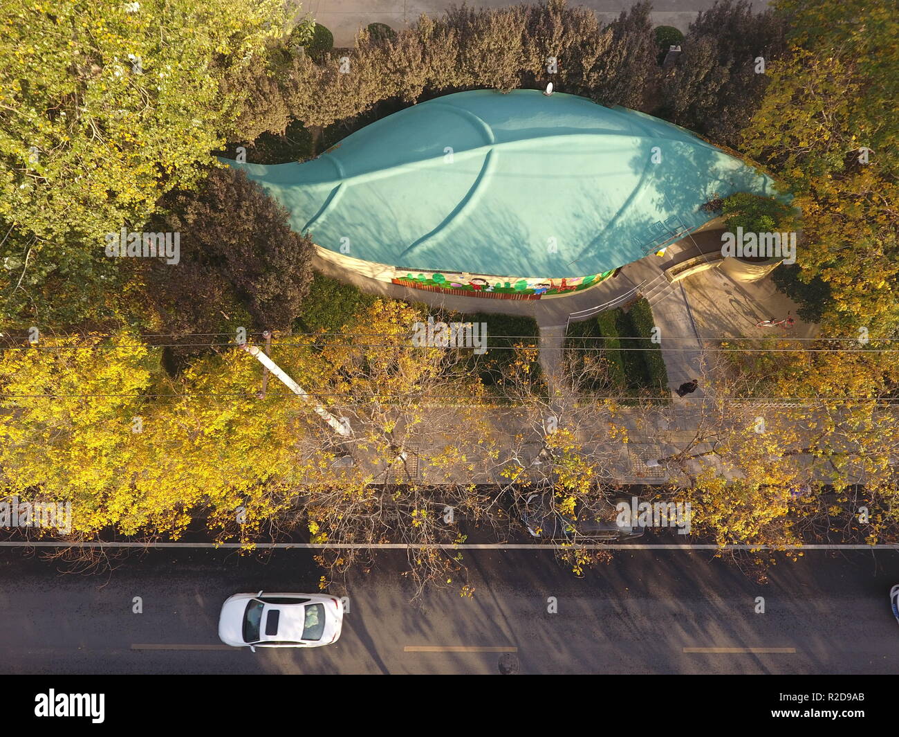 China. 19th Nov, 2018. A leaf shaped public toilet in Zhengzhou