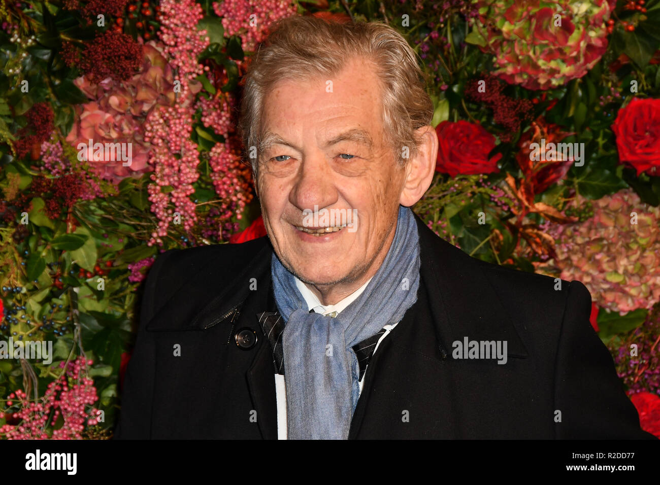 London, UK. 18th November, 2018. Sir Ian Mckellen attends The 64th Evening Standard Theatre Awards at Theatre Royal, on 18 November 2018, London, UK. Credit: Picture Capital/Alamy Live News Stock Photo