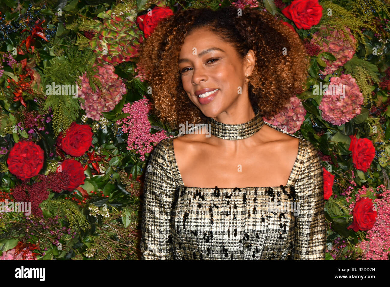 London, UK. 18th November, 2018. Sophie Okonedo attends The 64th Evening Standard Theatre Awards at Theatre Royal, on 18 November 2018, London, UK. Credit: Picture Capital/Alamy Live News Stock Photo