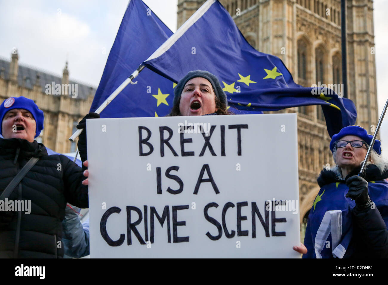 London, UK. 19th Nov, 2018. Pro-EU protester seen holding a placard during the protest.Pro-EU protesters from SODEM (Stand in Defiance European Movement) including a large dinosaur demonstrates with their placards and European Union flags outside the Palace of Westminster in central London ahead of the crucial week of Brexit negotiations as Prime Minister Theresa May prepares to meet Chief negotiator Michel Barnier later this week to discuss the withdrawal deal. Credit: Dinendra Haria/SOPA Images/ZUMA Wire/Alamy Live News Stock Photo
