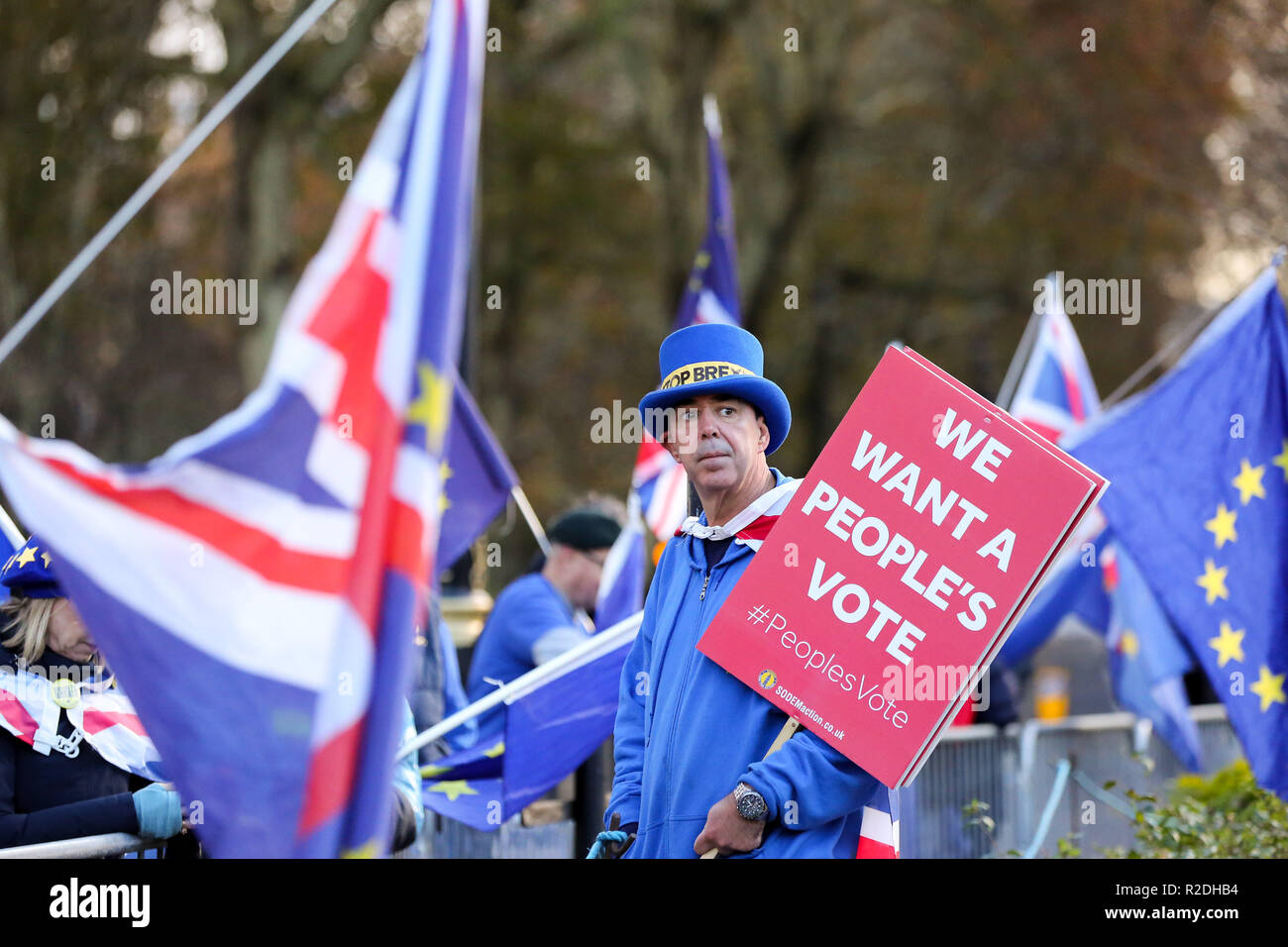 London, UK. 19th Nov, 2018. Pro-EU protester seen holding a placard during the protest.Pro-EU protesters from SODEM (Stand in Defiance European Movement) including a large dinosaur demonstrates with their placards and European Union flags outside the Palace of Westminster in central London ahead of the crucial week of Brexit negotiations as Prime Minister Theresa May prepares to meet Chief negotiator Michel Barnier later this week to discuss the withdrawal deal. Credit: Dinendra Haria/SOPA Images/ZUMA Wire/Alamy Live News Stock Photo