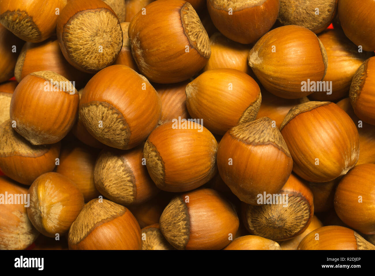 Hazelnuts texture background. filbert. nuts macro Stock Photo