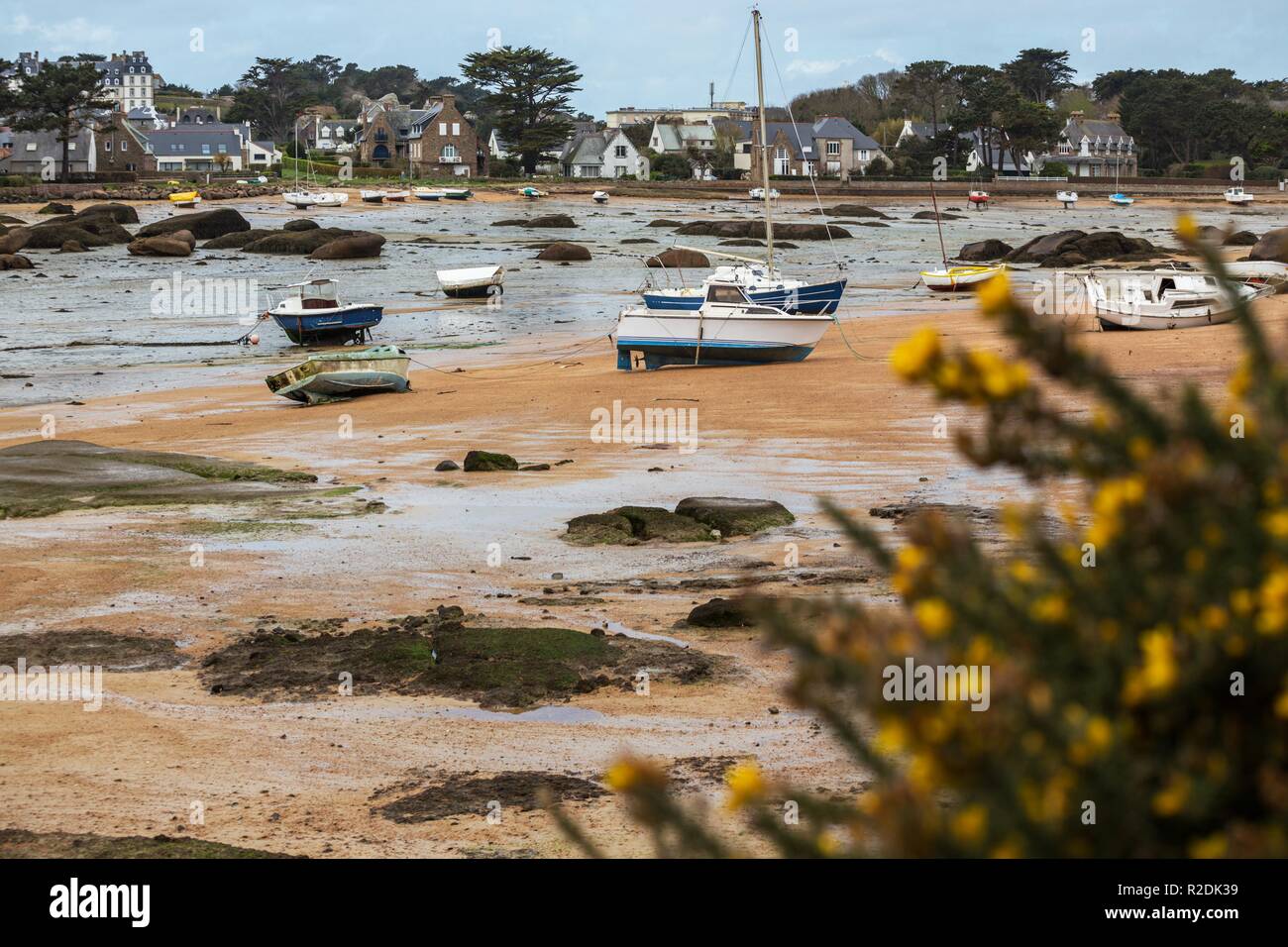 Tregastel. boats at low tide on the coast of Brittany, France Stock ...