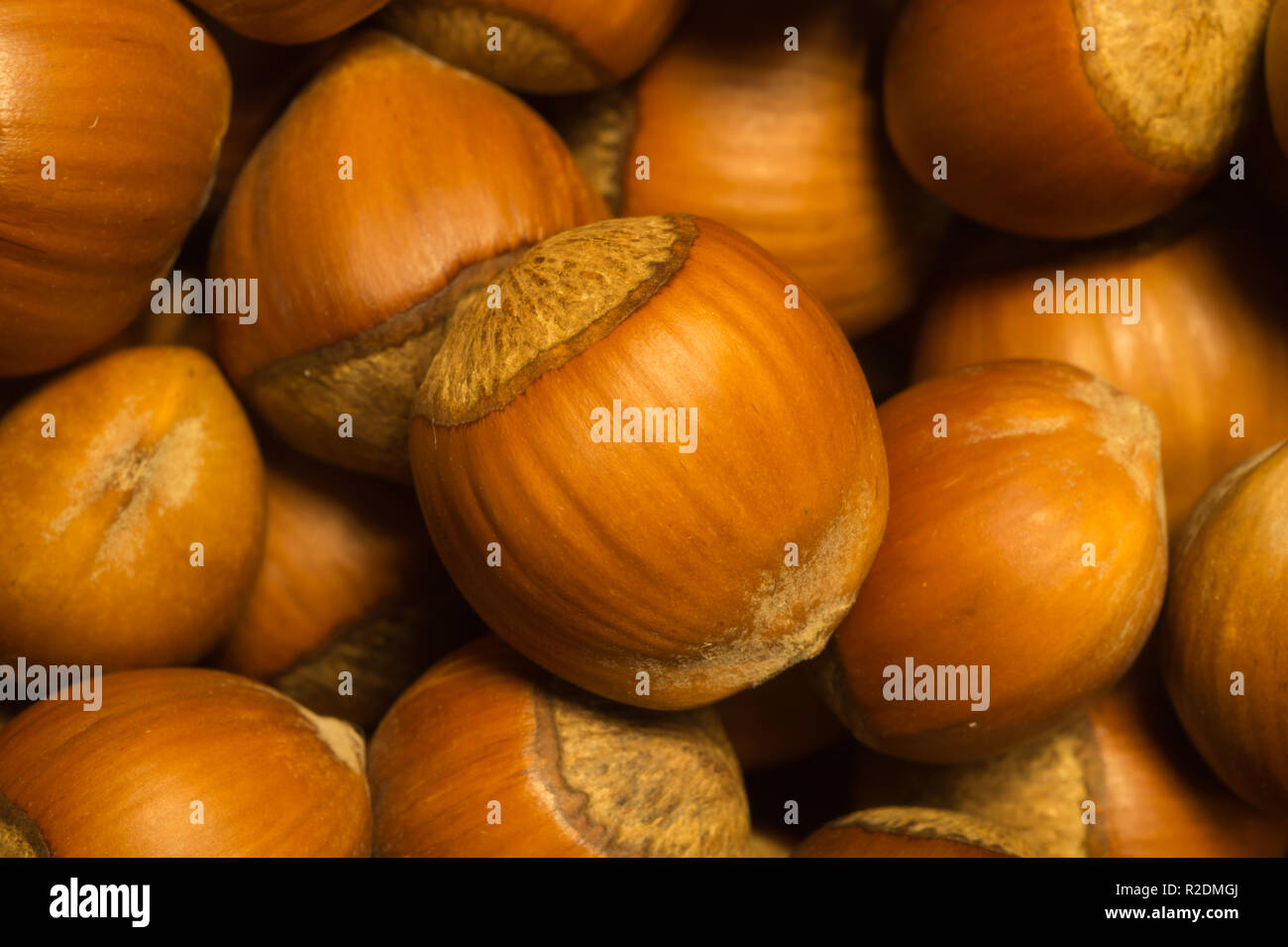Hazelnuts texture background. filbert. nuts macro Stock Photo