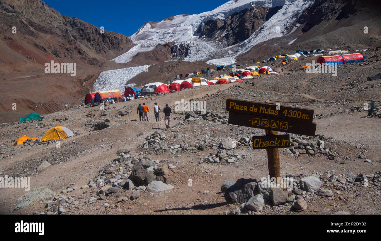 Panoramic view during the day of Plaza de Mulas, base camp of Aconcagua  mountain Stock Photo - Alamy