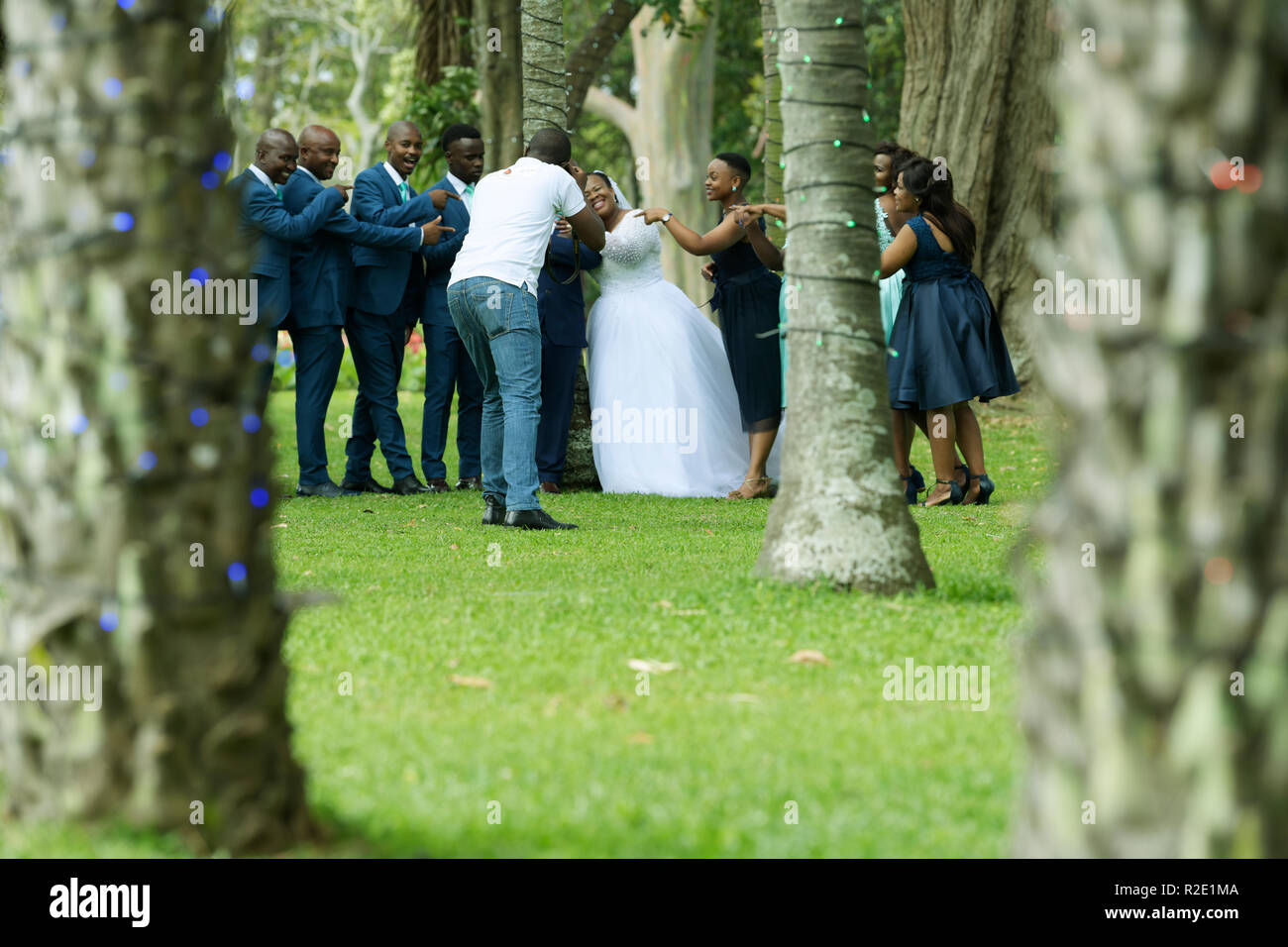Durban, KwaZulu-Natal, South Africa ,rear view of professional wedding photographer, photographing bridal party posing for picture in Botanical Garden Stock Photo