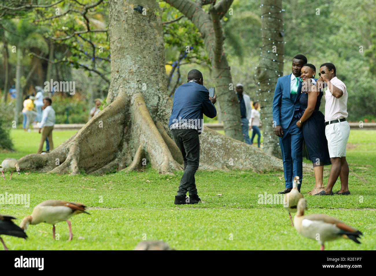 Durban, KwaZulu-Natal, South Africa, young adult man taking cell phone photo of group, friends, smart dress, city Botanical Garden Stock Photo