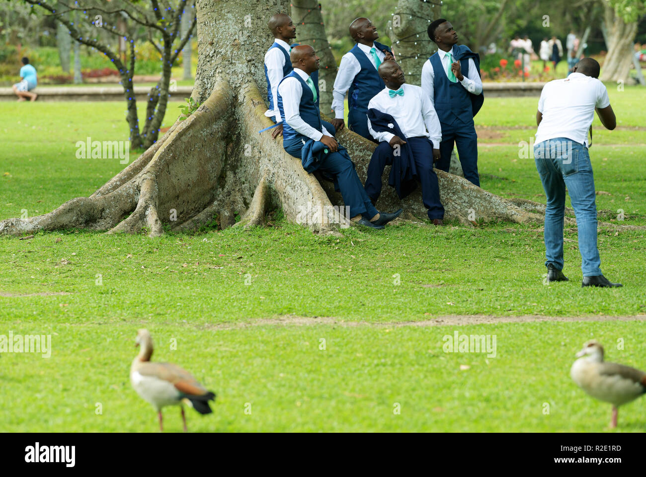 Durban, KwaZulu-Natal, South Afirca, group of five adult men being photographed by wedding photographer doing Blue Steel pose, Botanical Gardens Stock Photo