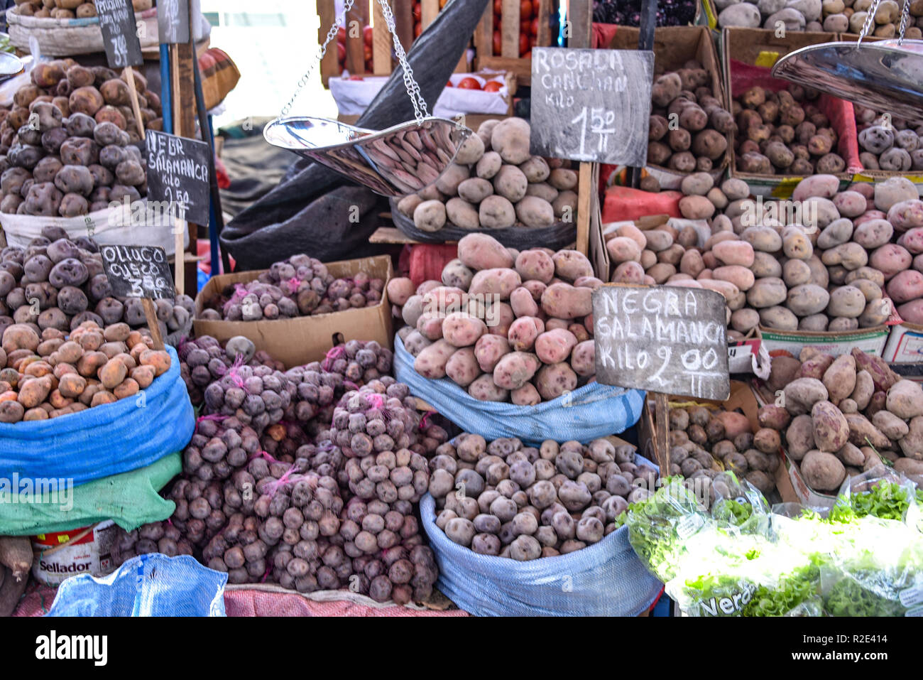 Arequipa, Peru - October 7, 2018: Potato varietals on sale in the central market, Mercado San Camilo Stock Photo