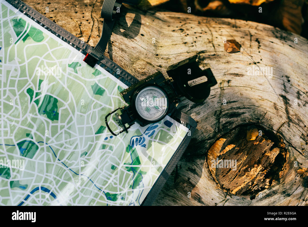 top view of compass on aged rustic tree bark with travel map Stock Photo