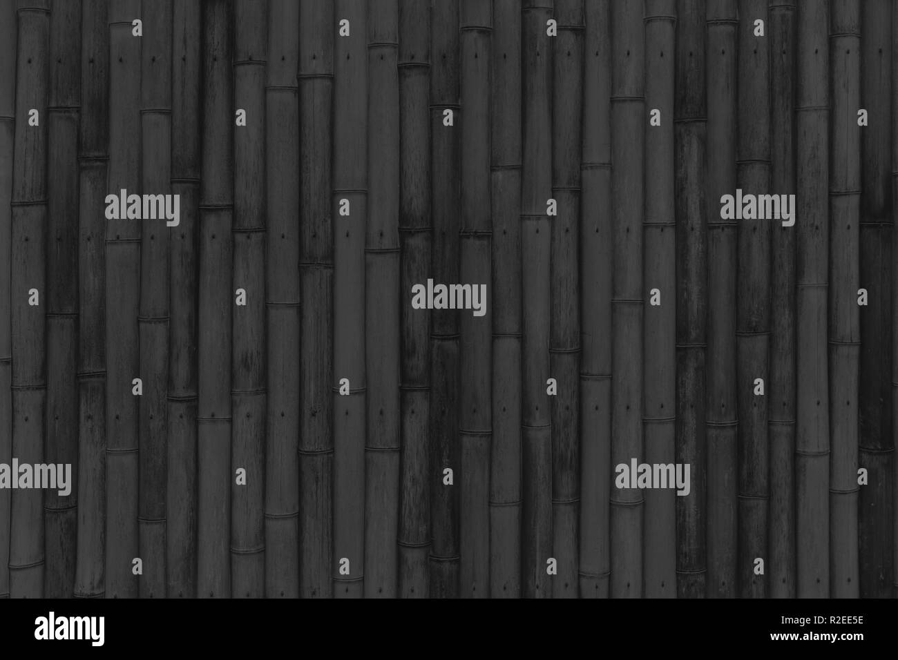 black wood dark background texture bamboo wooden wall blank for design. Stock Photo