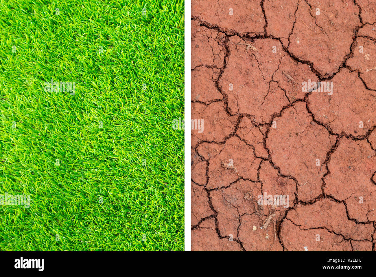 Green grass change to dry crack soil background texture. Element of design. Stock Photo