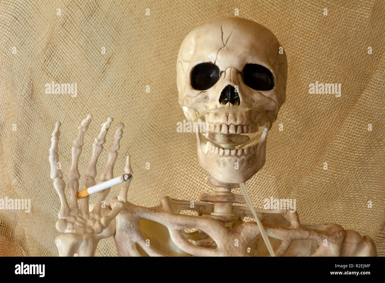 Skeleton holding lit cigarette with hand and canula for oxygen attached to nasal cavity Stock Photo