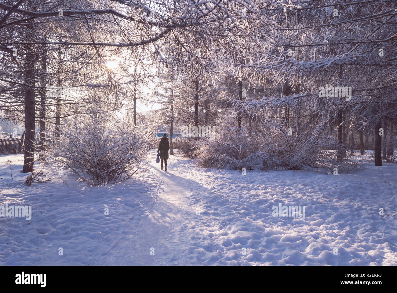 Pathway surrounded by trees hi-res stock photography and images - Alamy