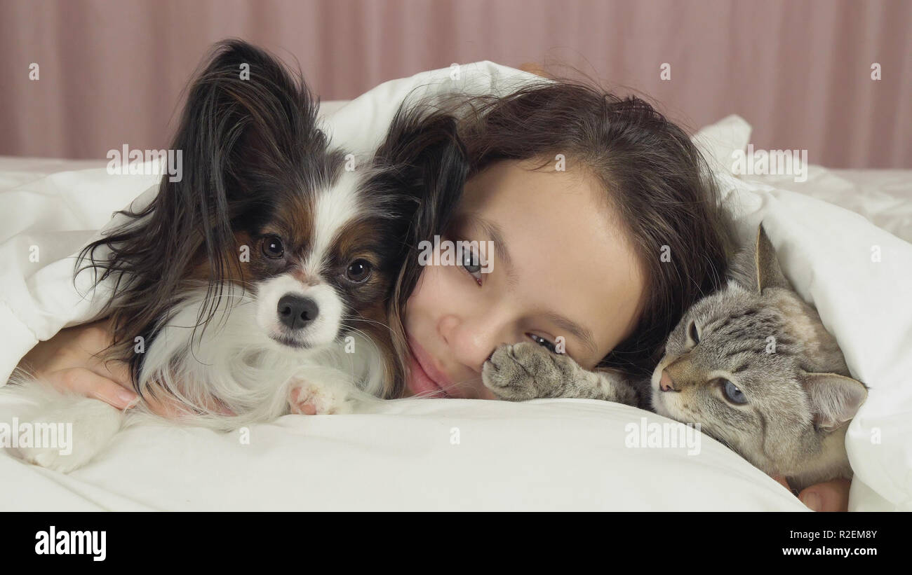Happy teen girl communicates with dog Papillon and Thai cat in bed Stock Photo