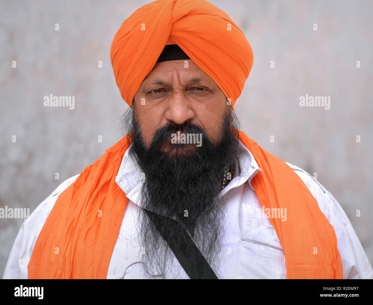 Big, elderly Indian Sikh man with orange turban (dastar) poses for the camera. Stock Photo