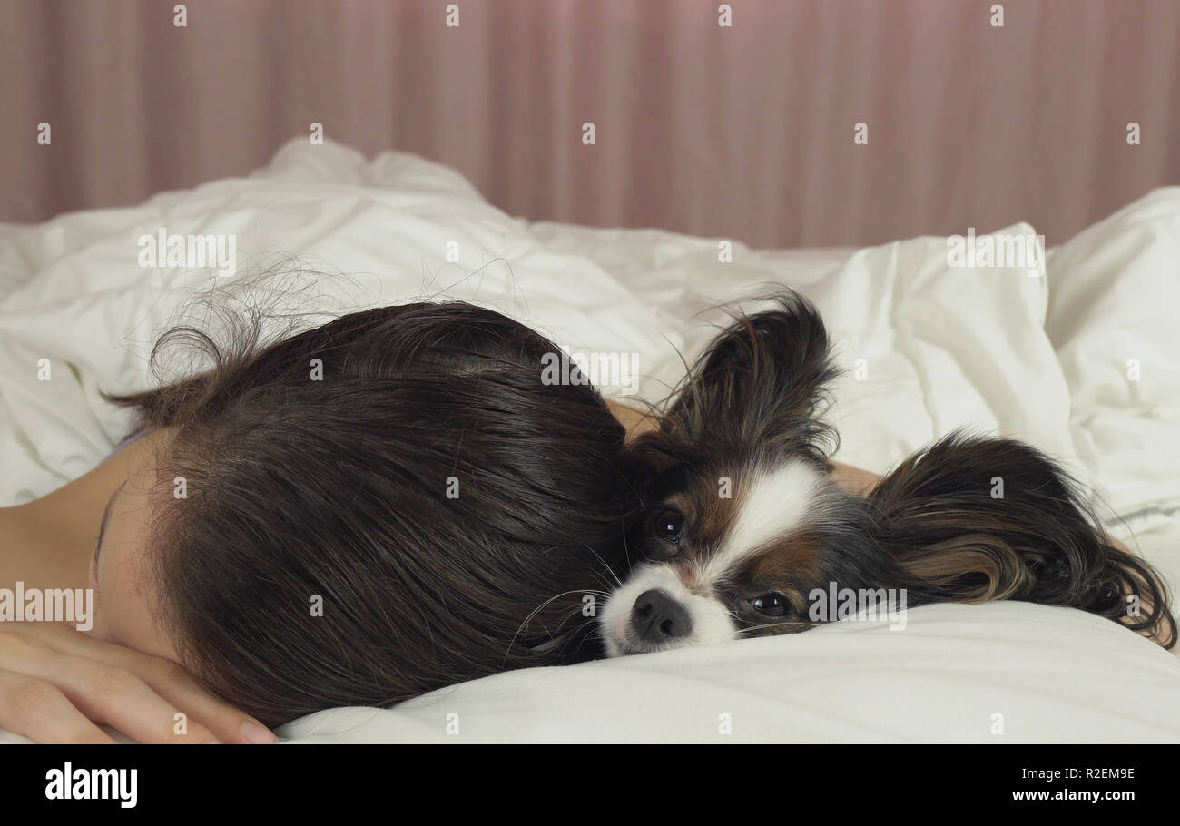 Beautiful teen girl sleeping sweetly in bed with Papillon dog Stock ...