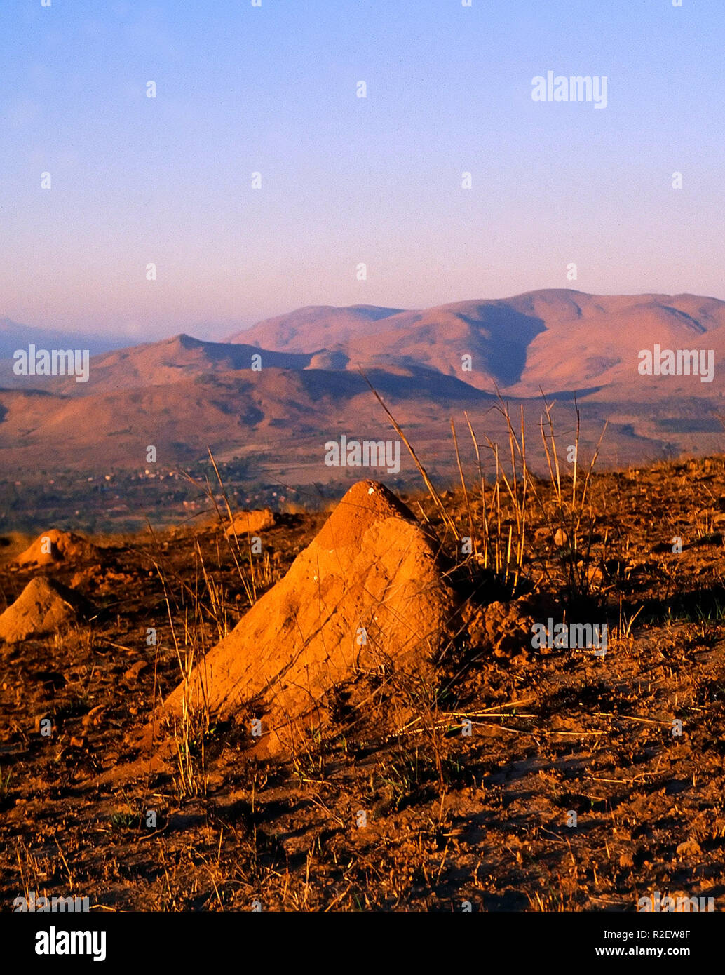 Termite mound madagascar hi-res stock photography and images - Alamy