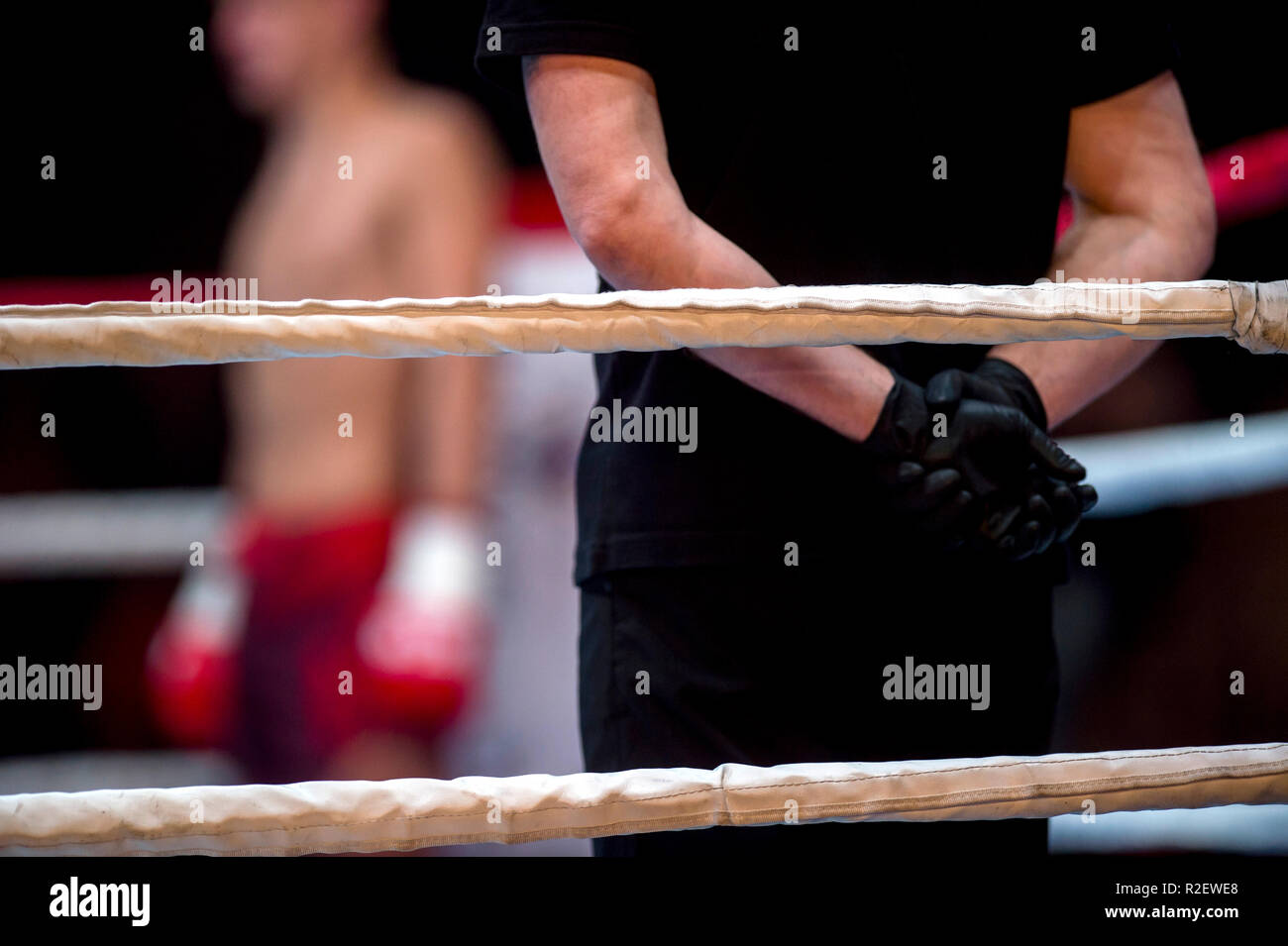 Boxing ring ropes and referee in black clothes in ring two fighters MMA