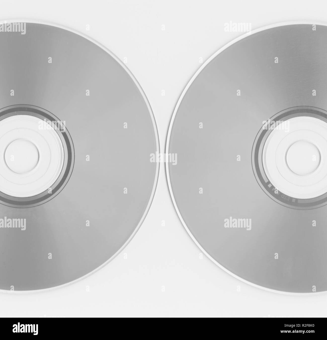 Grey ram Black and White Stock Photos &amp; Images - Alamy