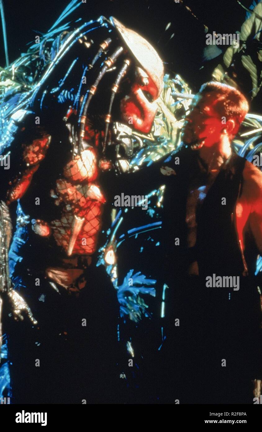 Predator Year : 1987 USA Director : John McTiernan Arnold Schwarzenegger Stock Photo