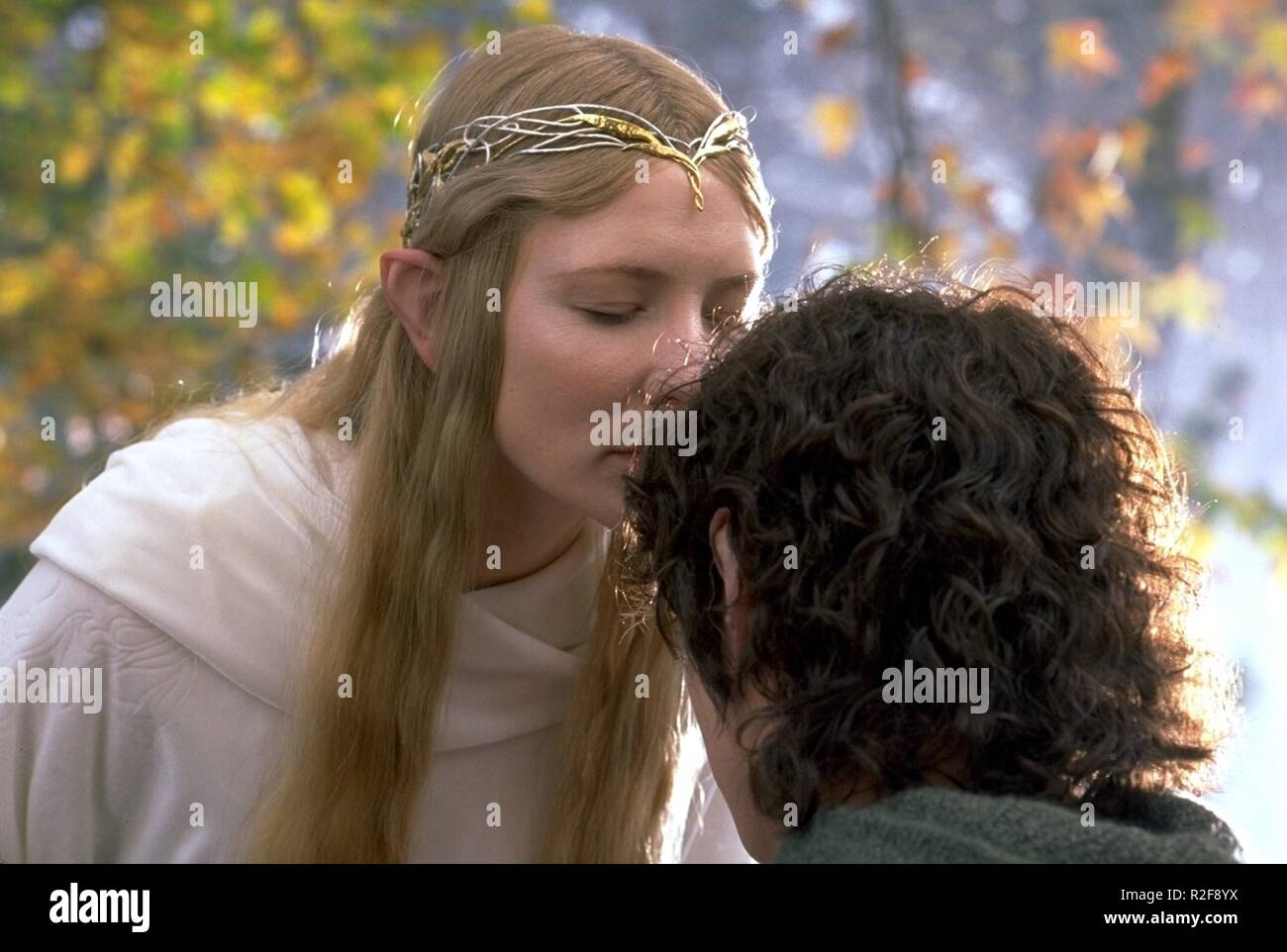 The Lord of the Rings : The Fellowship of the Ring Stock Photo - Alamy
