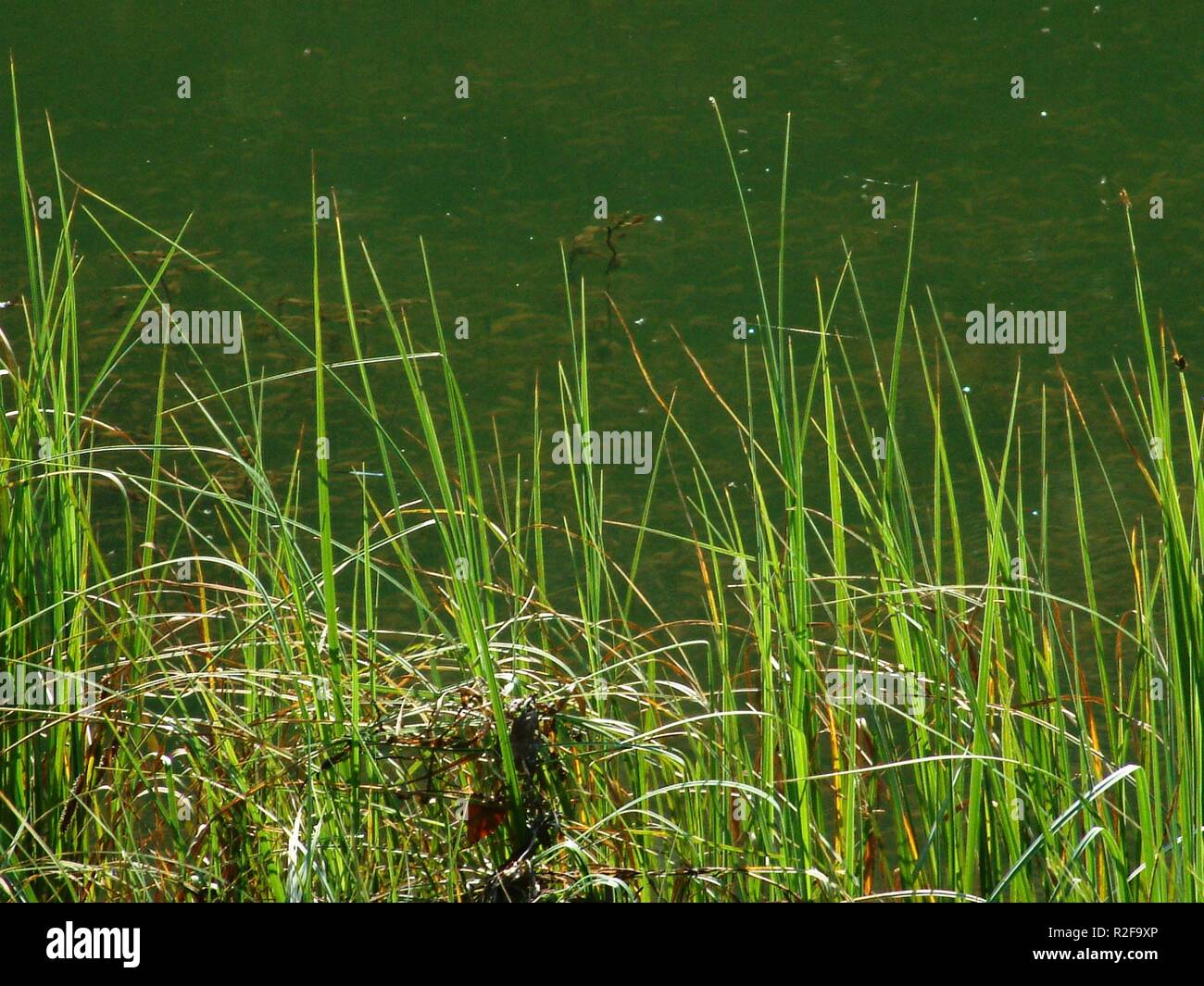 on the shore Stock Photo Alamy