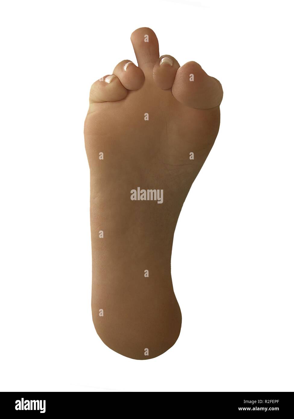 the toe Stock Photo