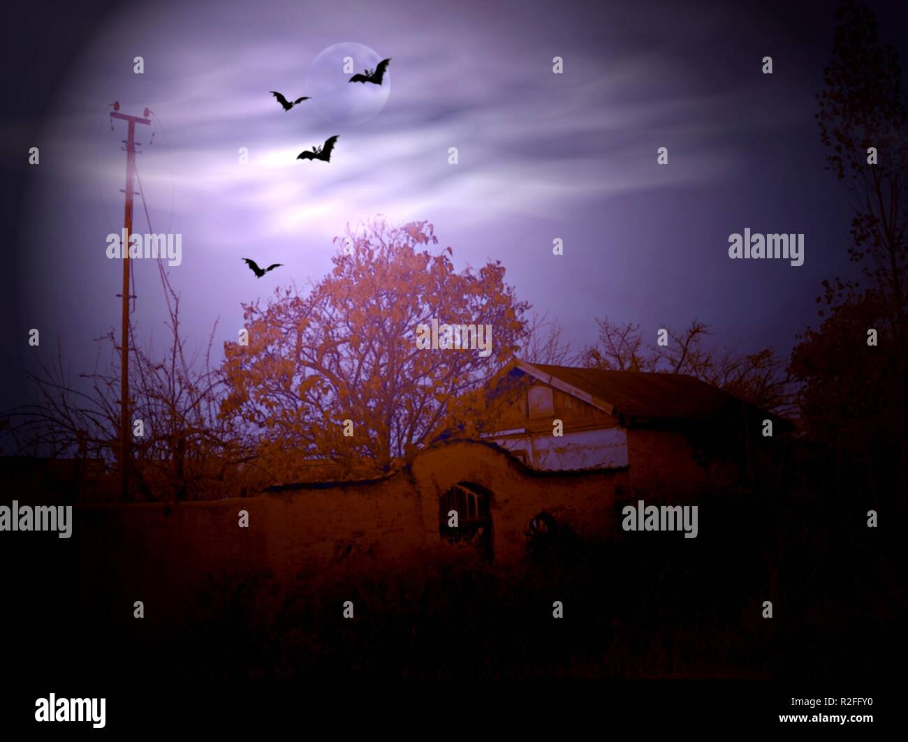 dance of bats Stock Photo Alamy