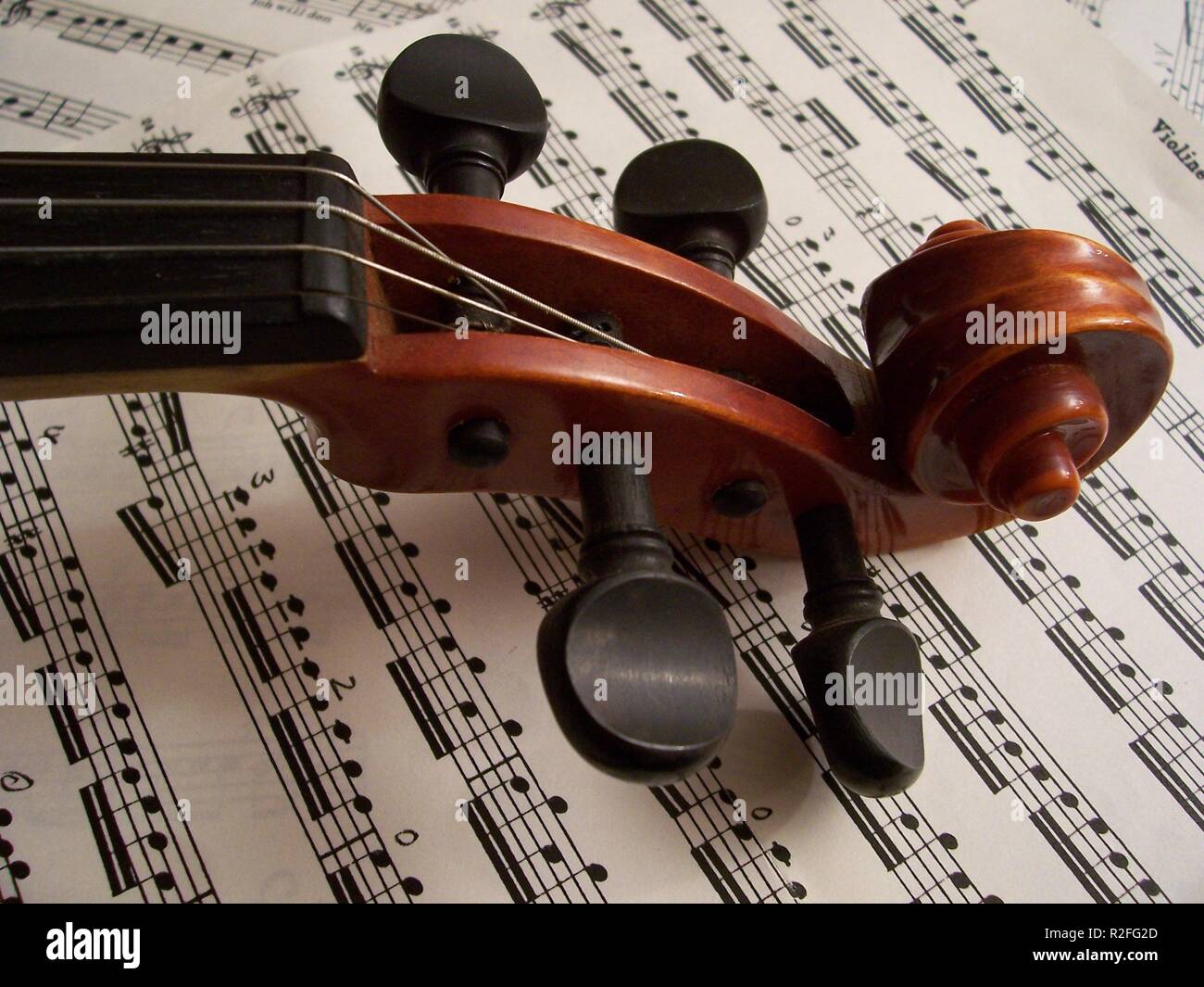 violin Stock Photo