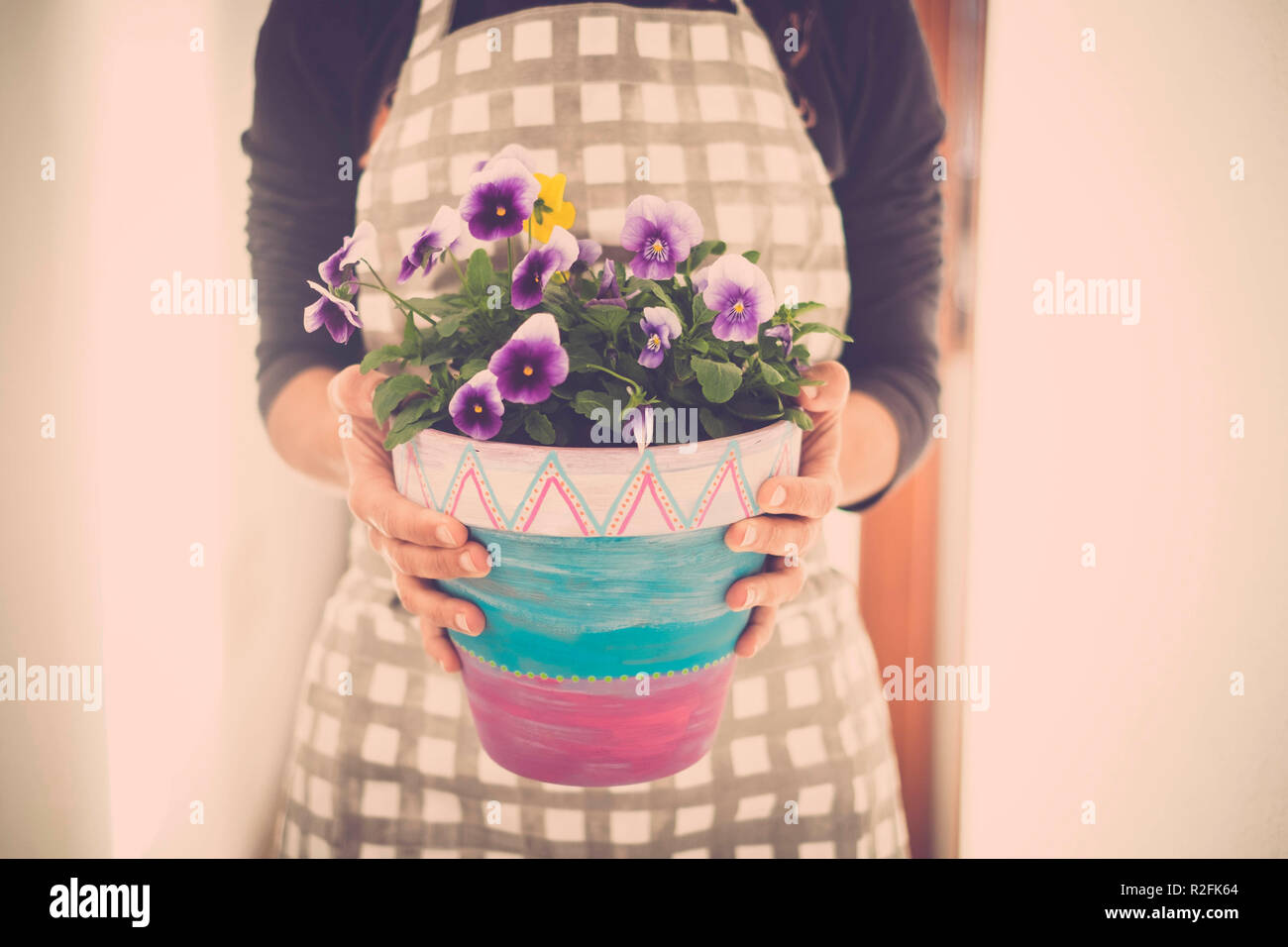 woman hands taking a vas of violet flowers at home. Clothes for home work. Pastel tones and backlight for a bright scene Stock Photo