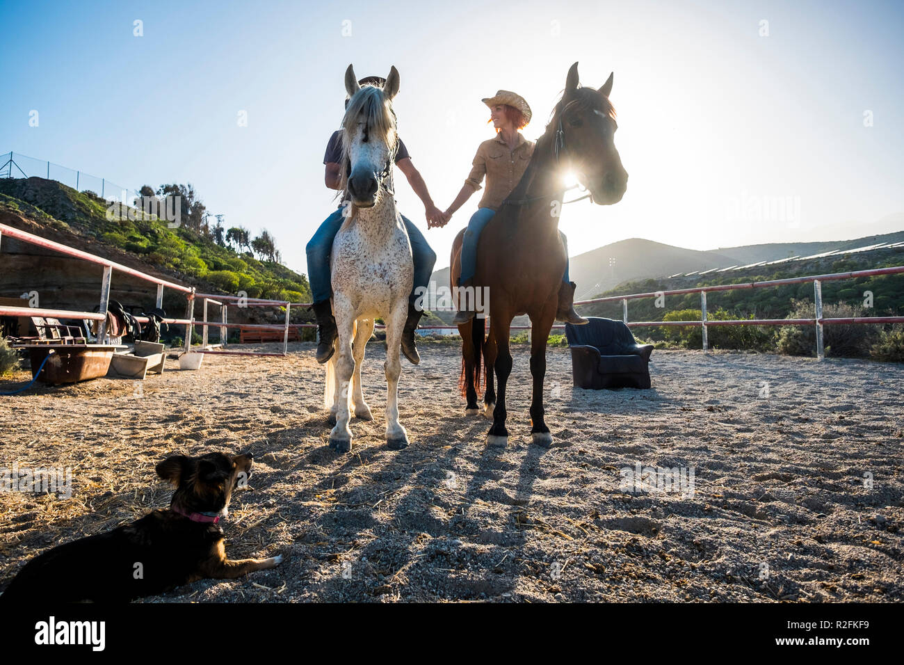 beautiful caucasian couple on two horses with the sun in backlight and a dog looking them from the ground. touching hands and beautiful animals for love therapy Stock Photo