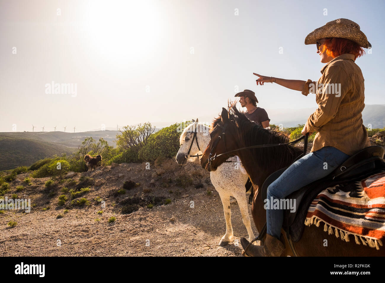 couple in vacation in tenerife ride horses in the nature. wind mill on the background and sunny colored day. dog and animals outdoor leisure activity for great therapy and friendship Stock Photo
