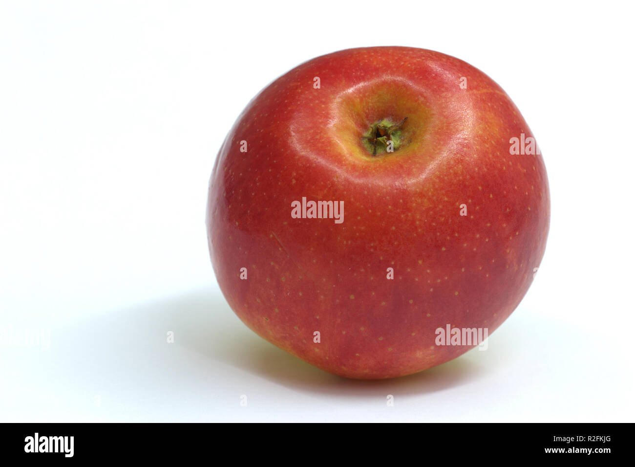 apple Stock Photo