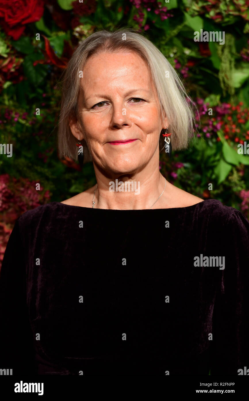 Phyllida Lloyd attending the Evening Standard Theatre Awards 2018 at the Theatre Royal, Drury Lane in Covent Garden, London Stock Photo