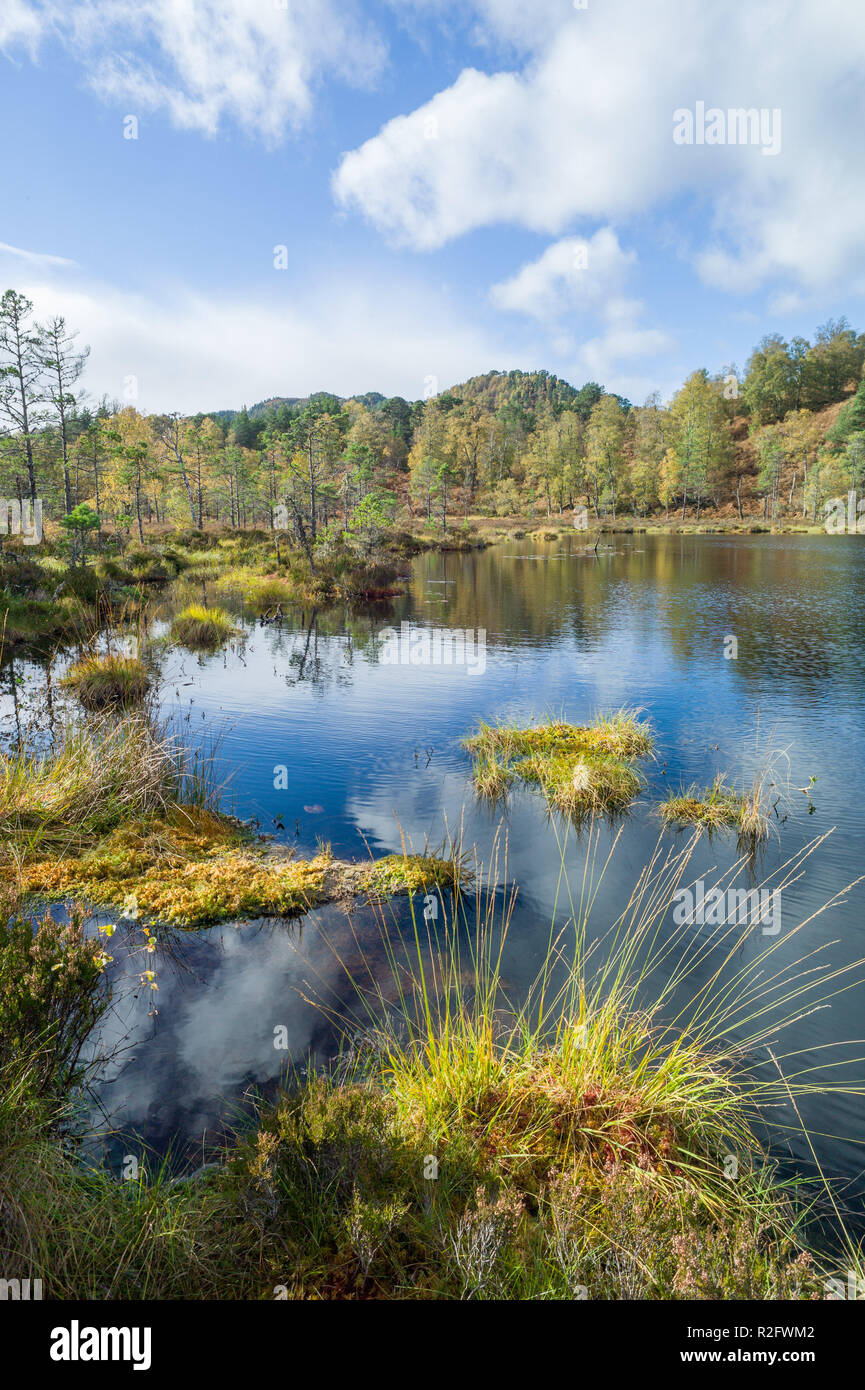 Coire loch on the viewpoint trail in Glen Affric, Highlands, Scotland. Stock Photo