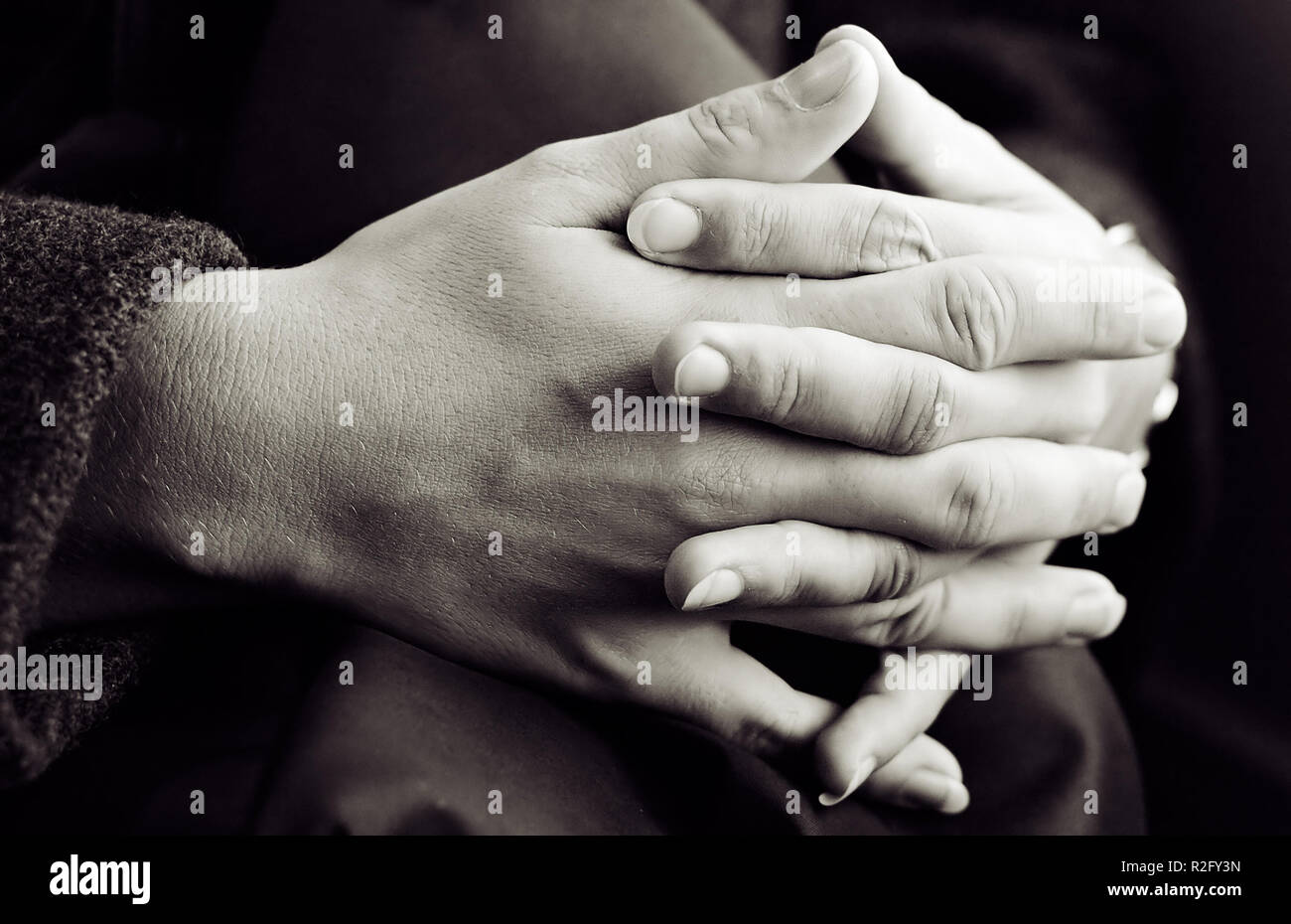 praying hands i Stock Photo