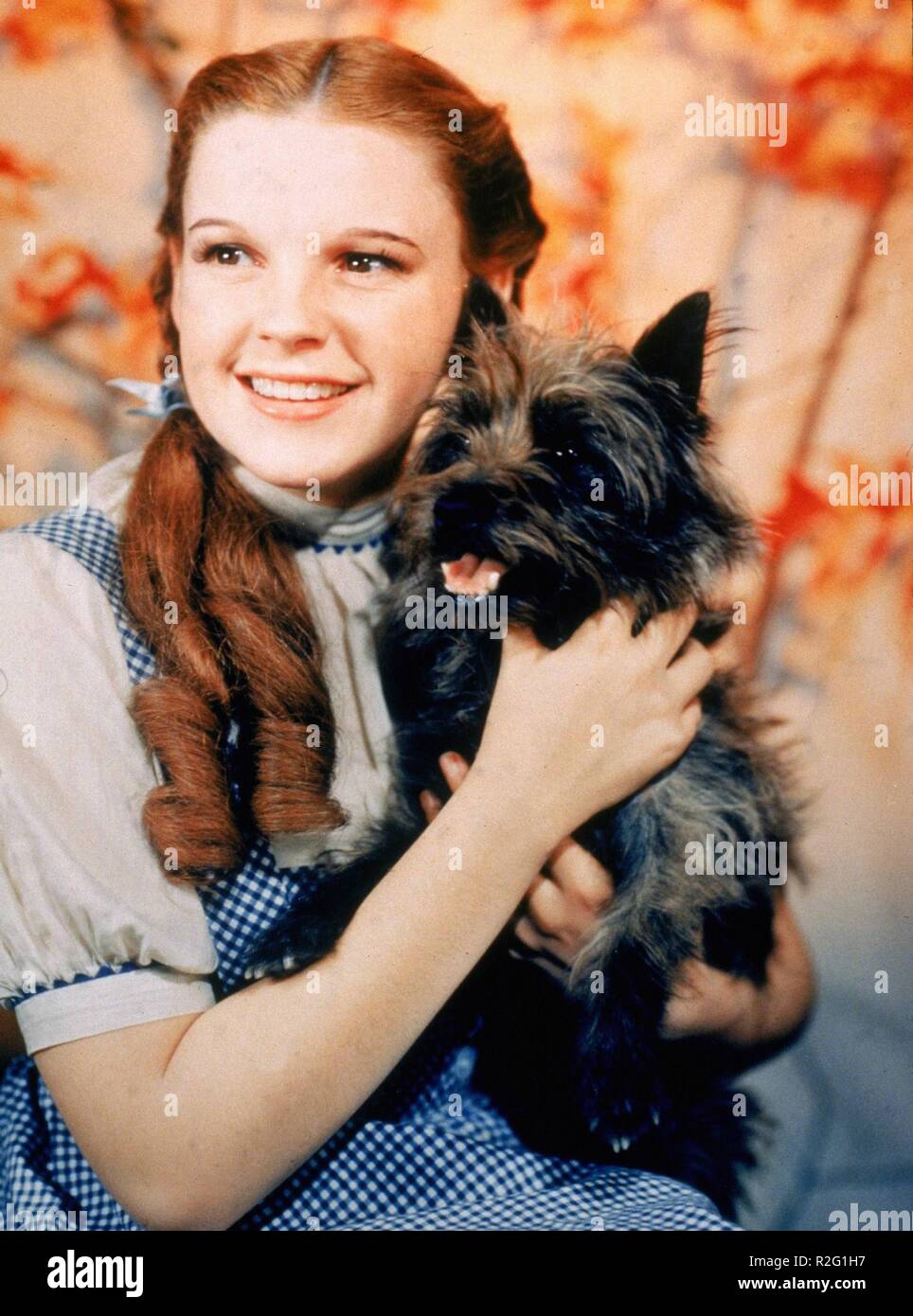 The Wizard of Oz  Year : 1939 USA  Director : Victor Fleming  Judy Garland Stock Photo