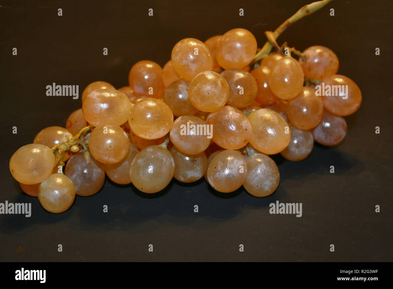 grapes Stock Photo
