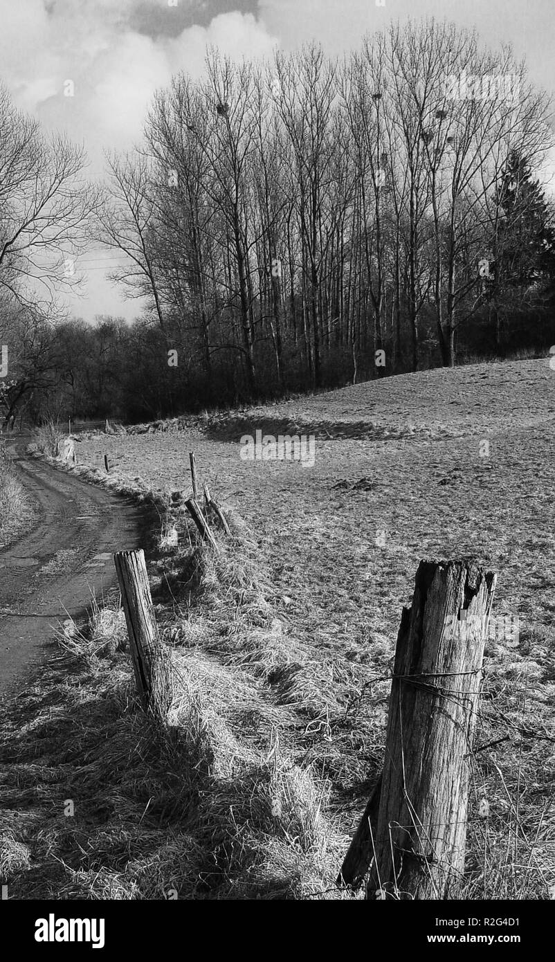 Fence of barbed wire Black and White Stock Photos & Images - Alamy