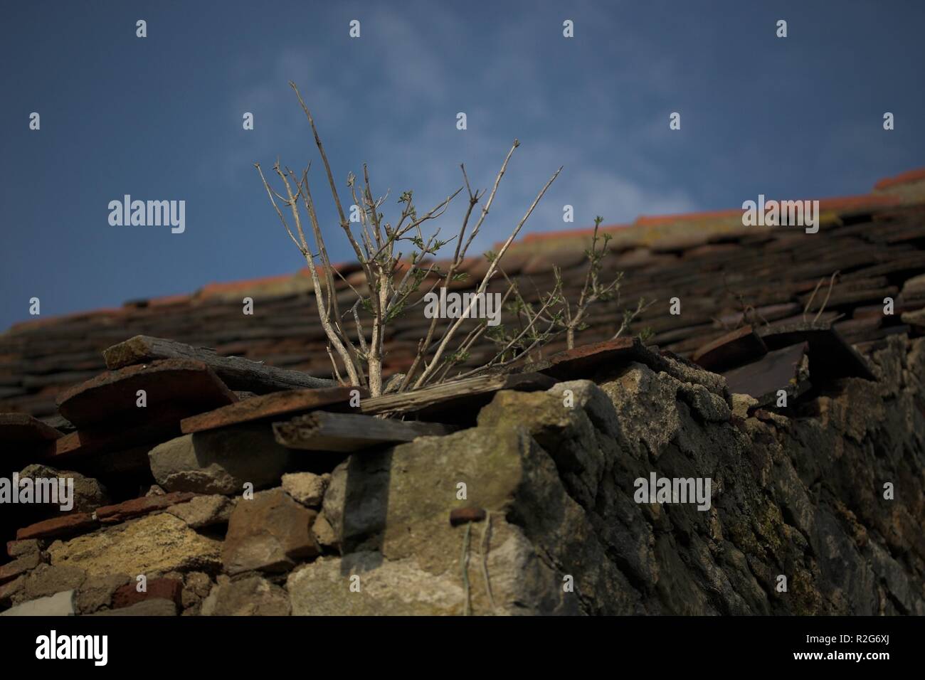 roof of a sunken house Stock Photo