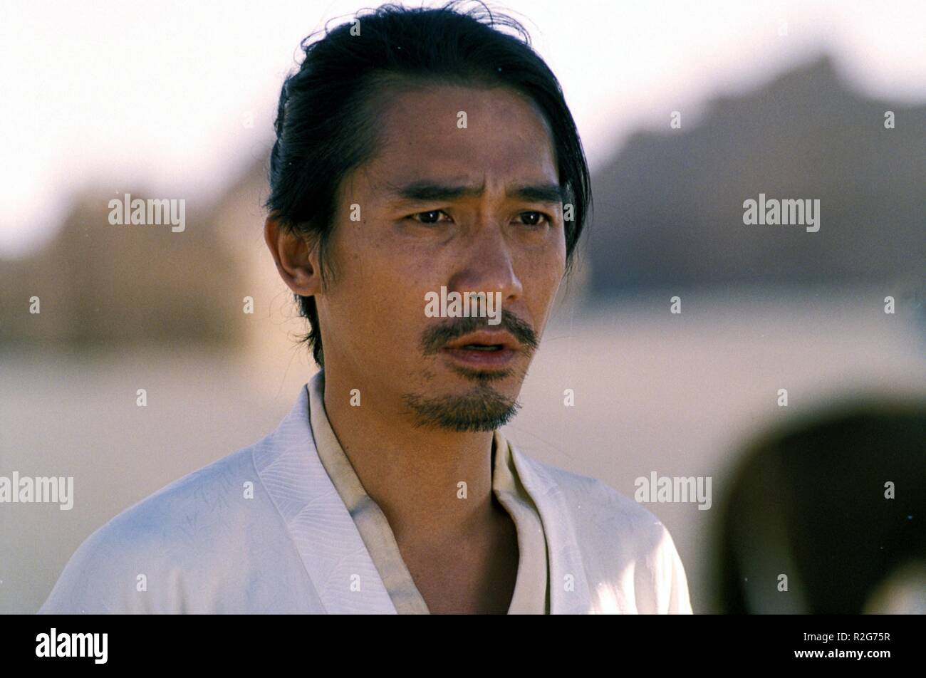 Hero  Ying xiong  Year : 2002 China Director : Yimou Zhang Tony Chiu Wai Leung Stock Photo