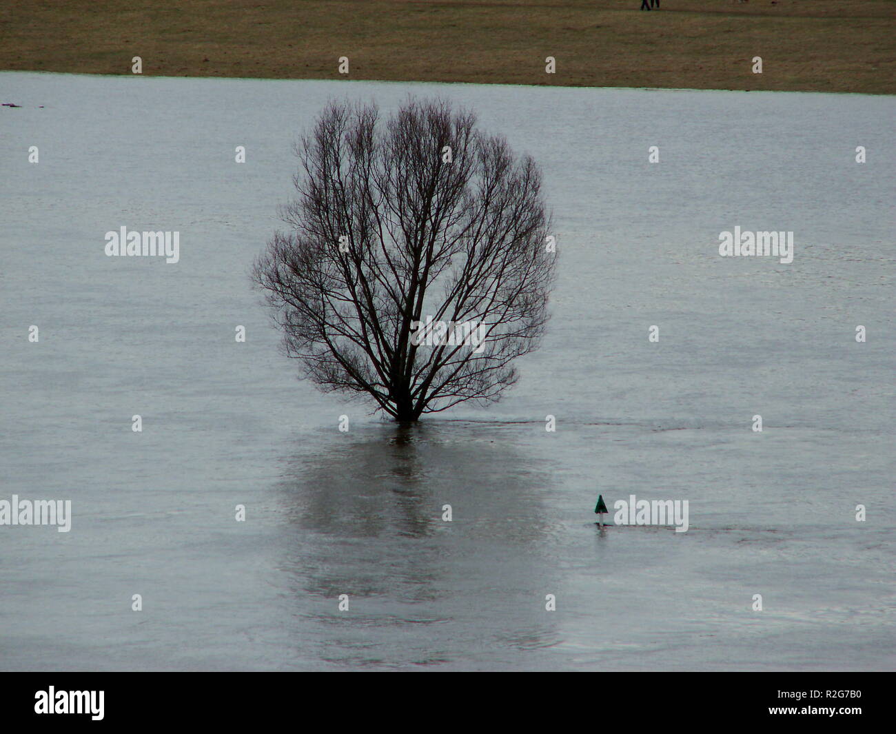 flood in dresden 2006 Stock Photo