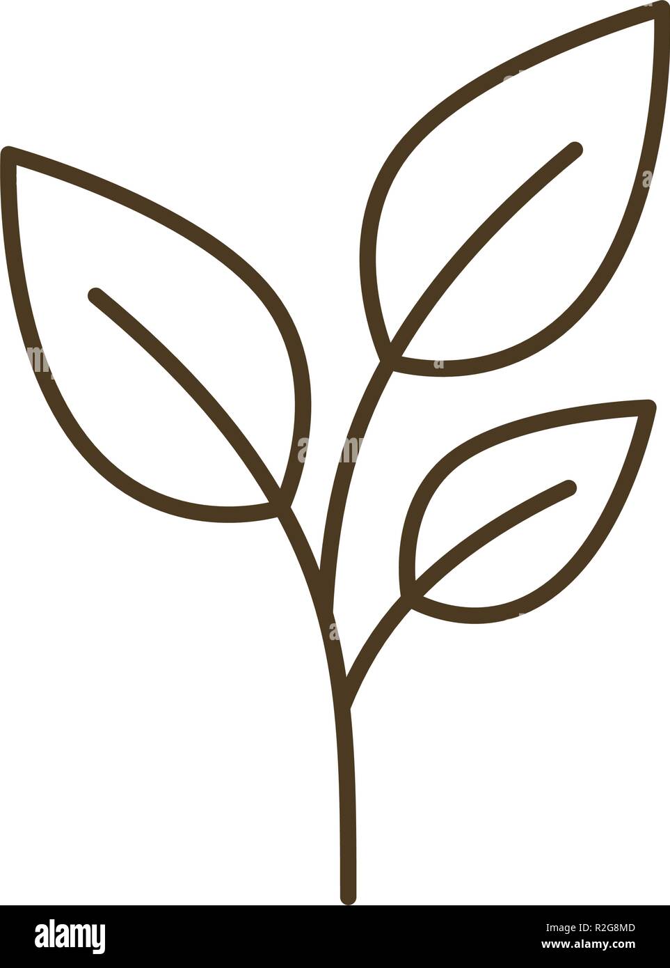 tree branch with leaves isolated icon Stock Vector Image & Art - Alamy